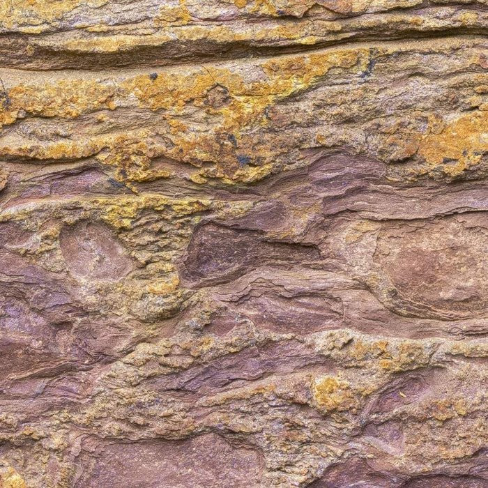 African Wall II