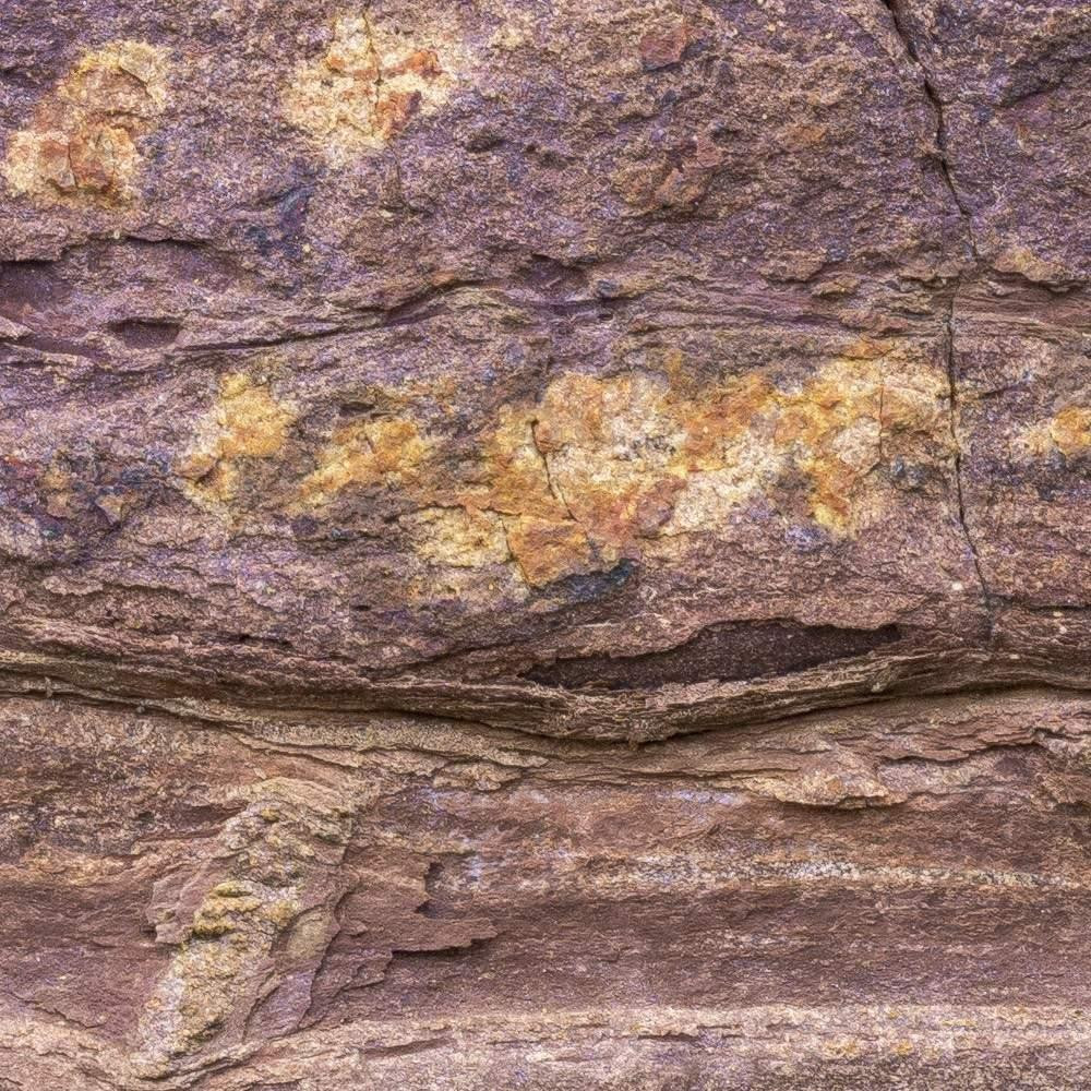 African Wall II