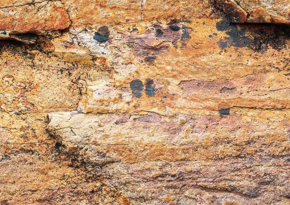 African Wall III