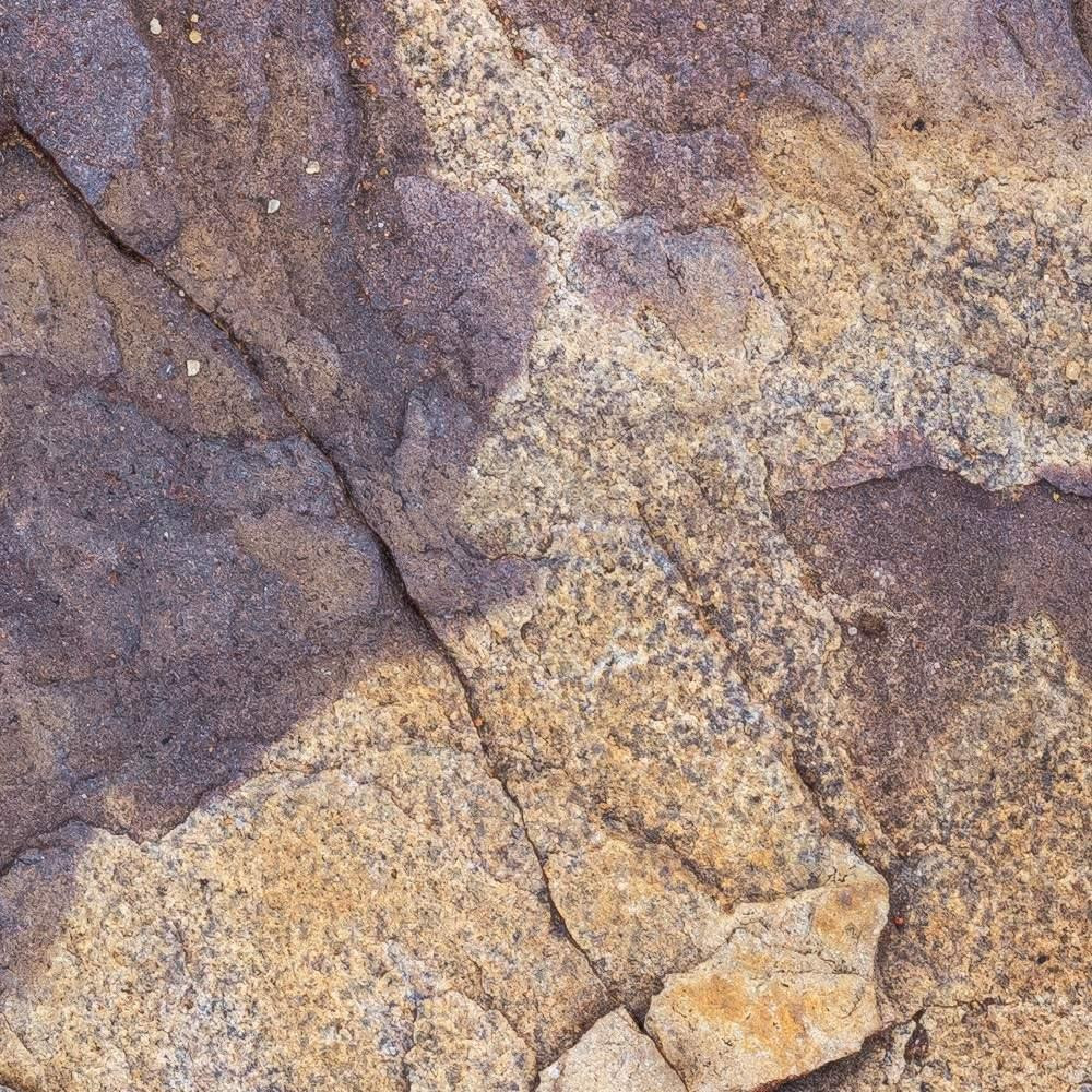 African Wall V
