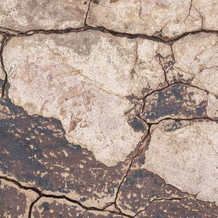 African Wall VII