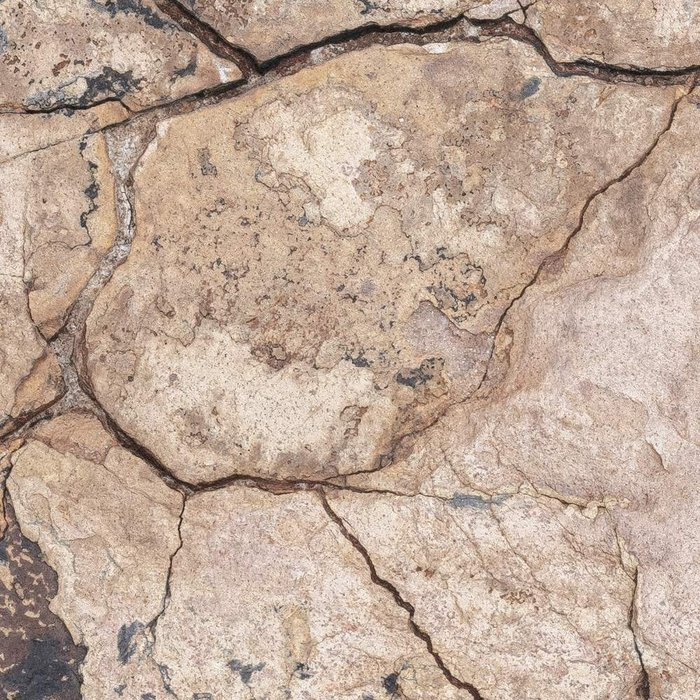 African Wall VII