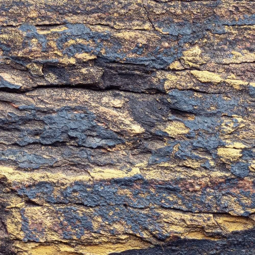 African Wall VIII