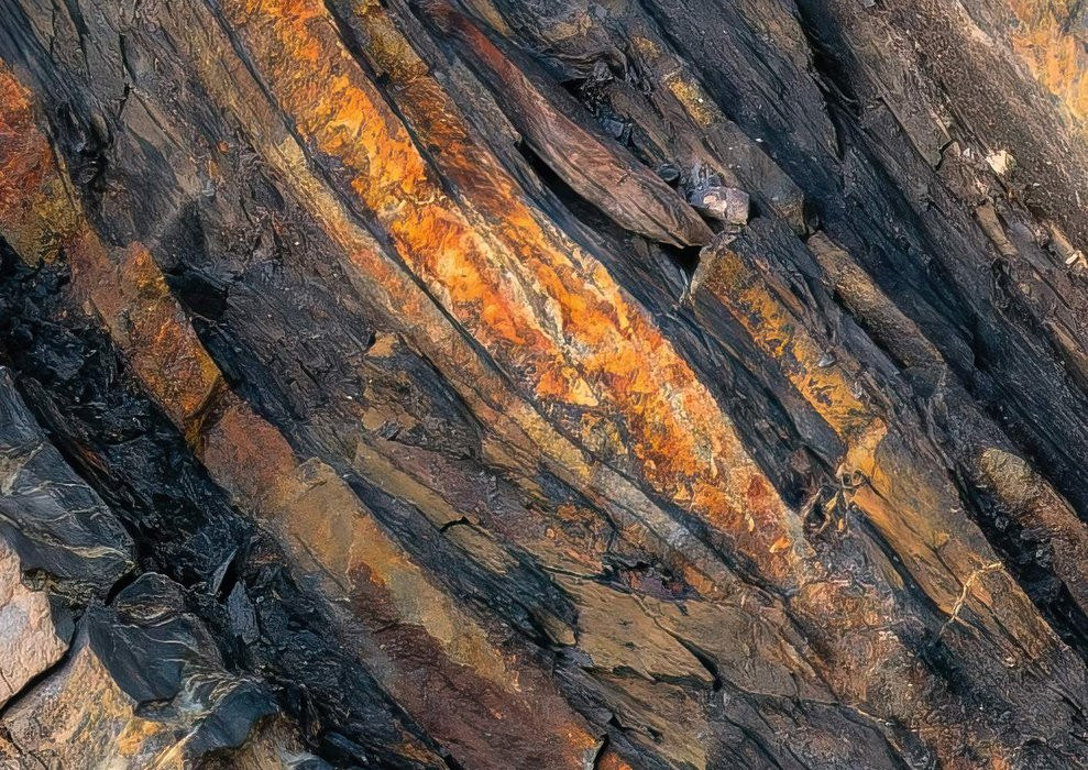 Colors of Earth IV