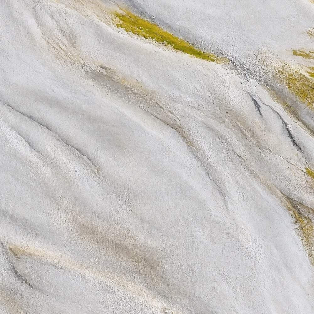 Golden Milk II