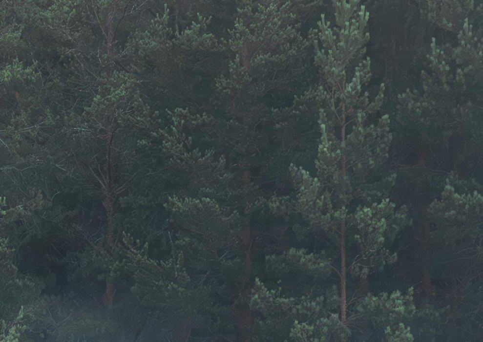 Scandi Wall