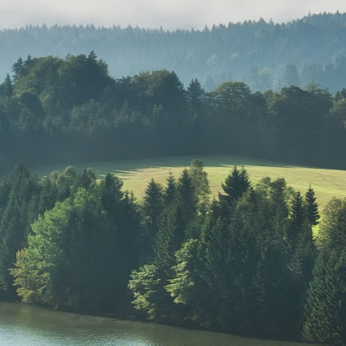 Bergwiese vor Karwendel