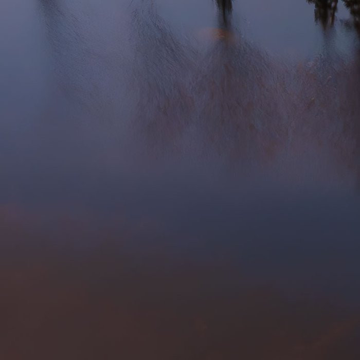 Between the Light