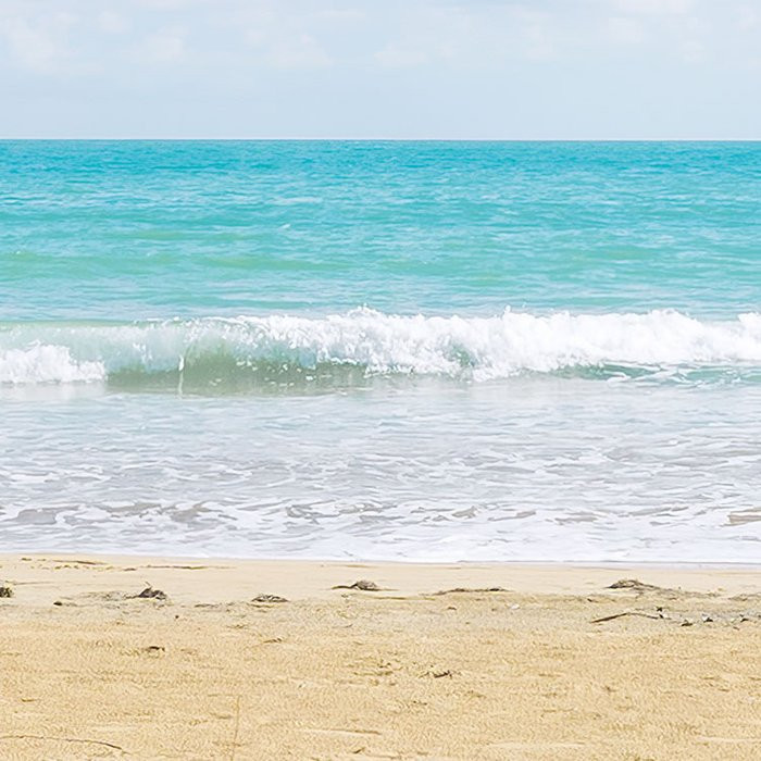 Caribbean Days II