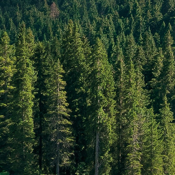 Dolomitenjuwel