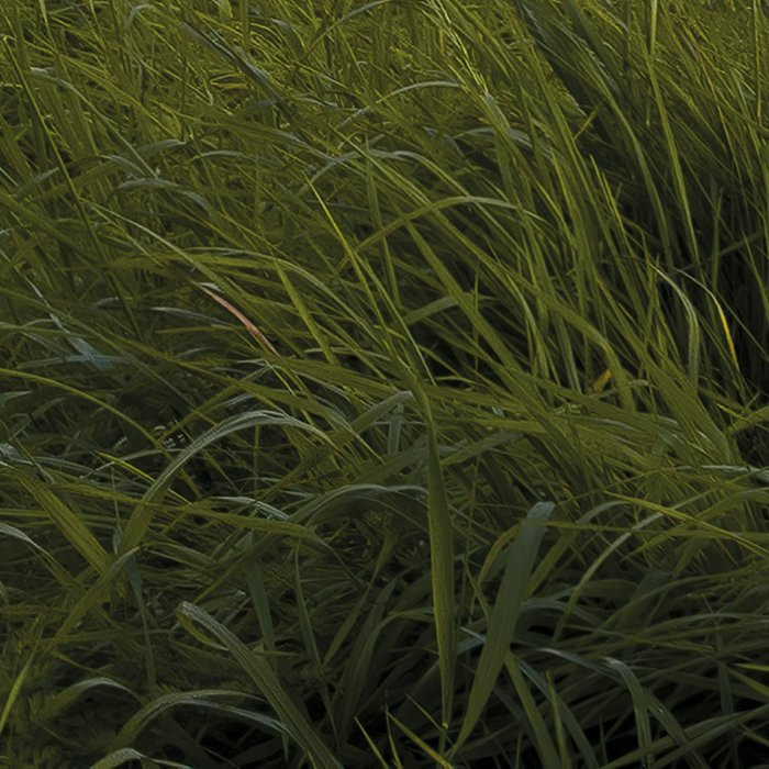 Dolomitentraum