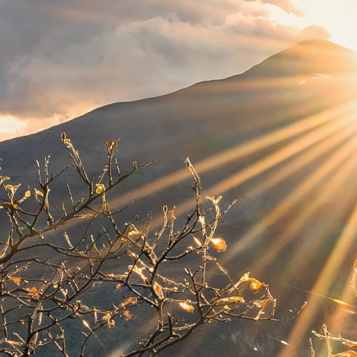 Norwegische Herbstwelten