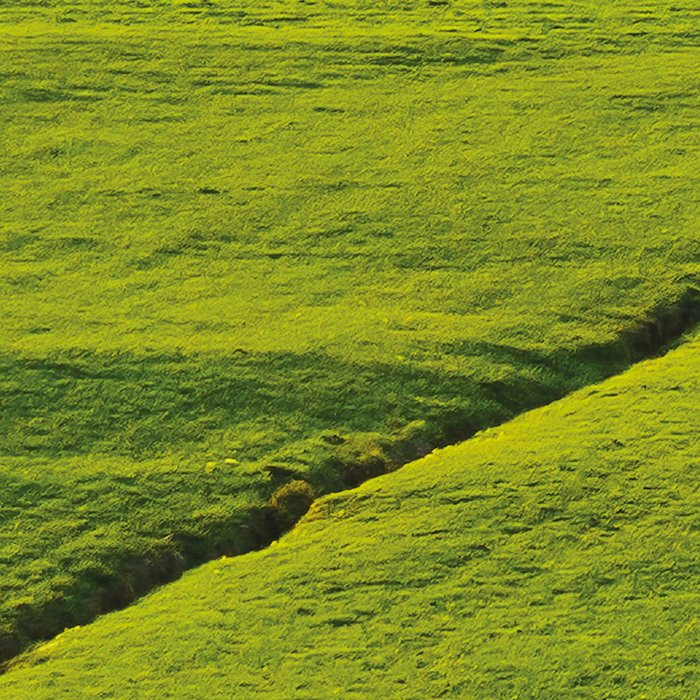 Paradiesisches Bayern