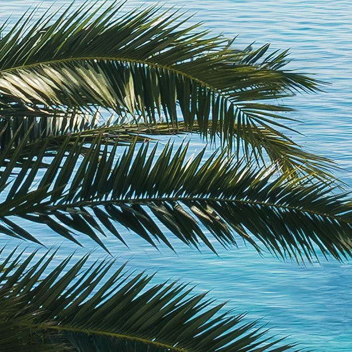 Paradise View