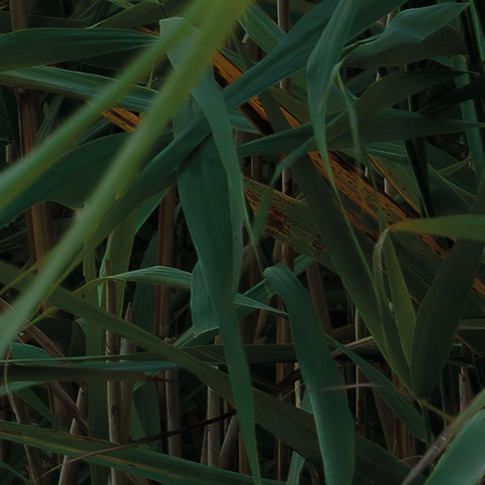 Pastell