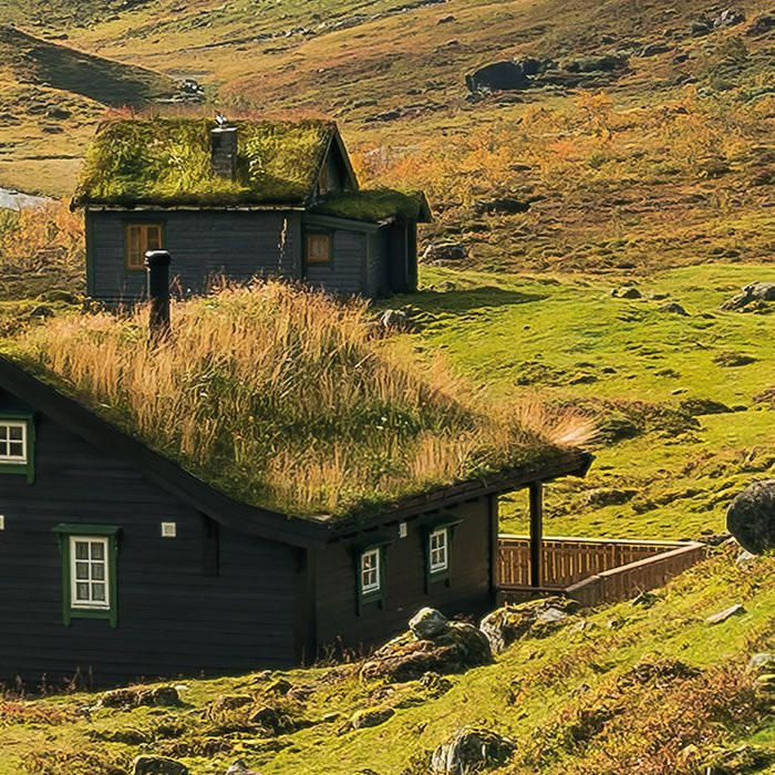 Pure Norway