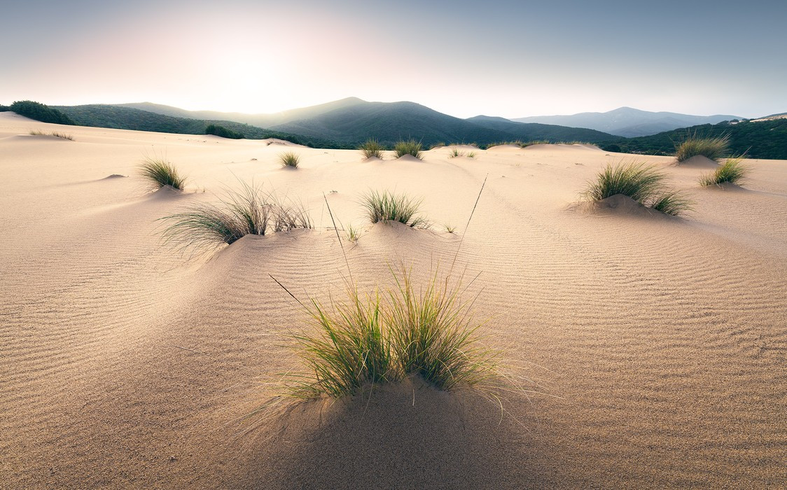 Vivid Dunes