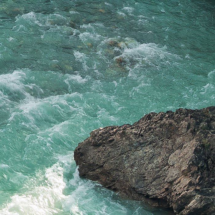 Wild Canada