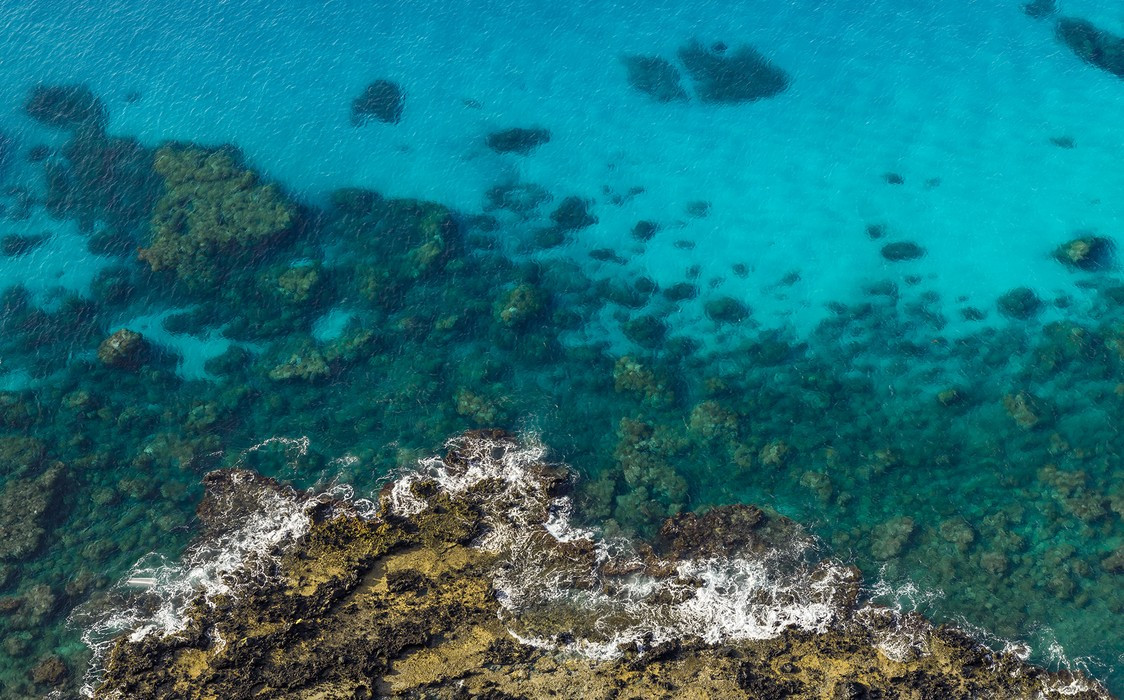 Bright Blue 