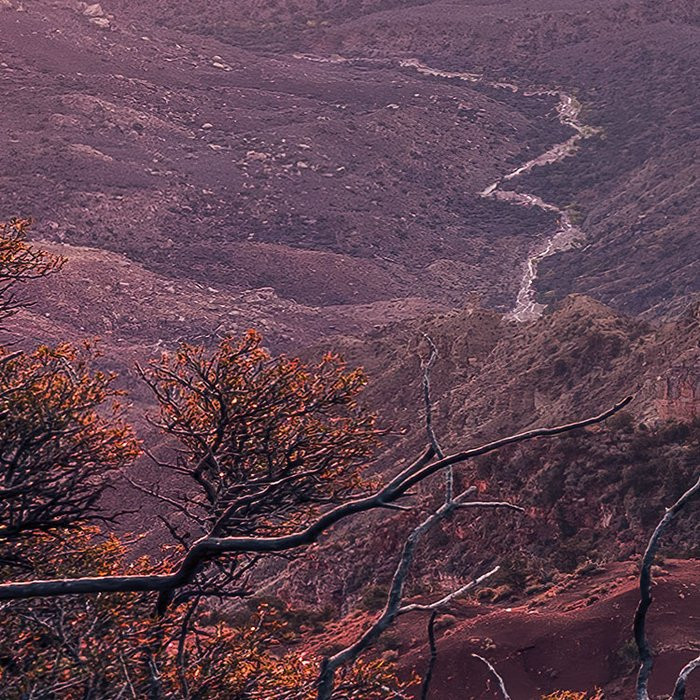 Grand View 