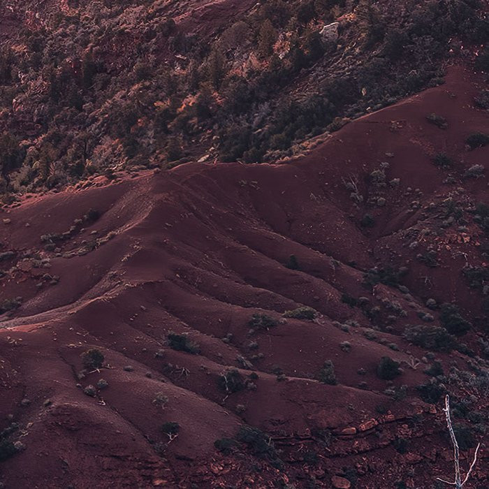 Grand View 