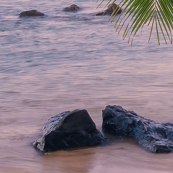 Hawaiian Dreams 