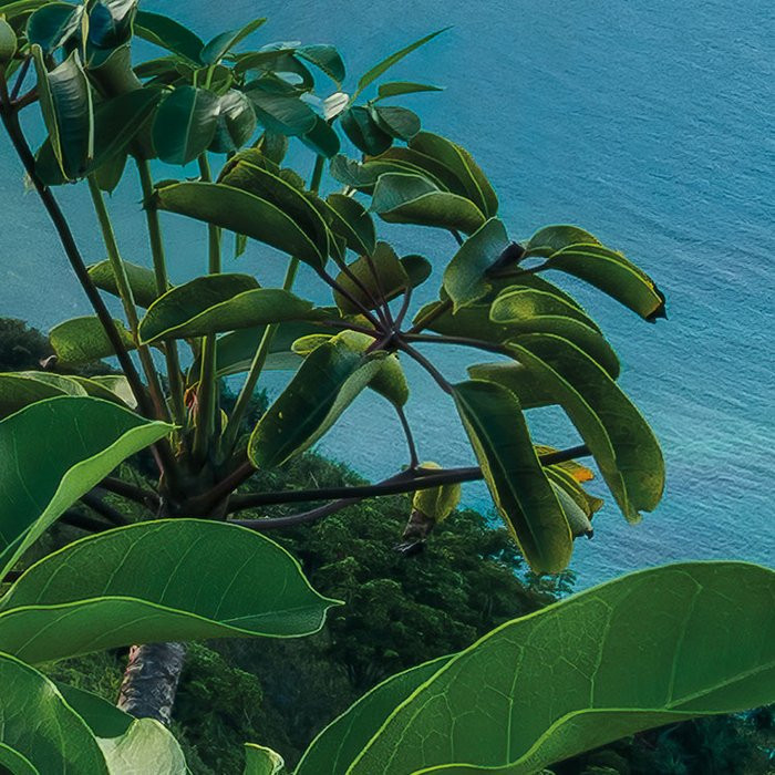 Jurassic Island 