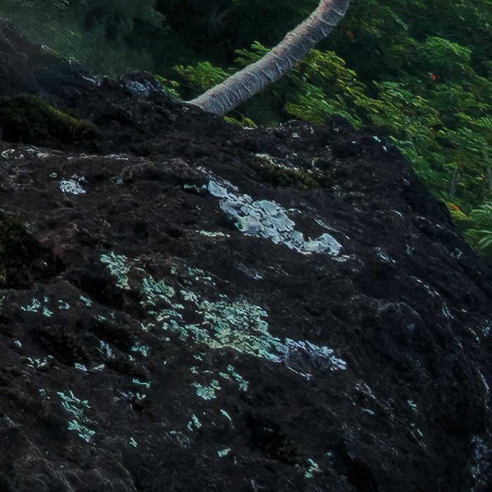 Jurassic Island 