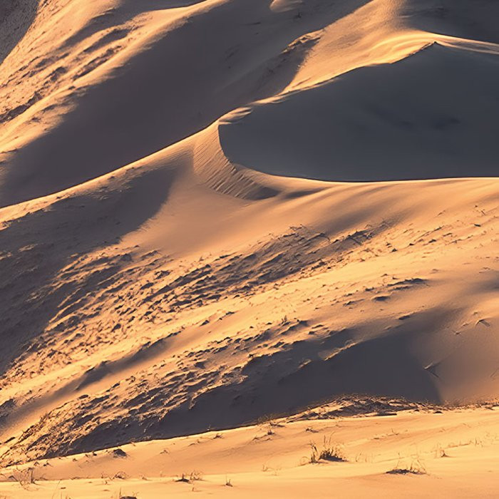 Mojave Heights 