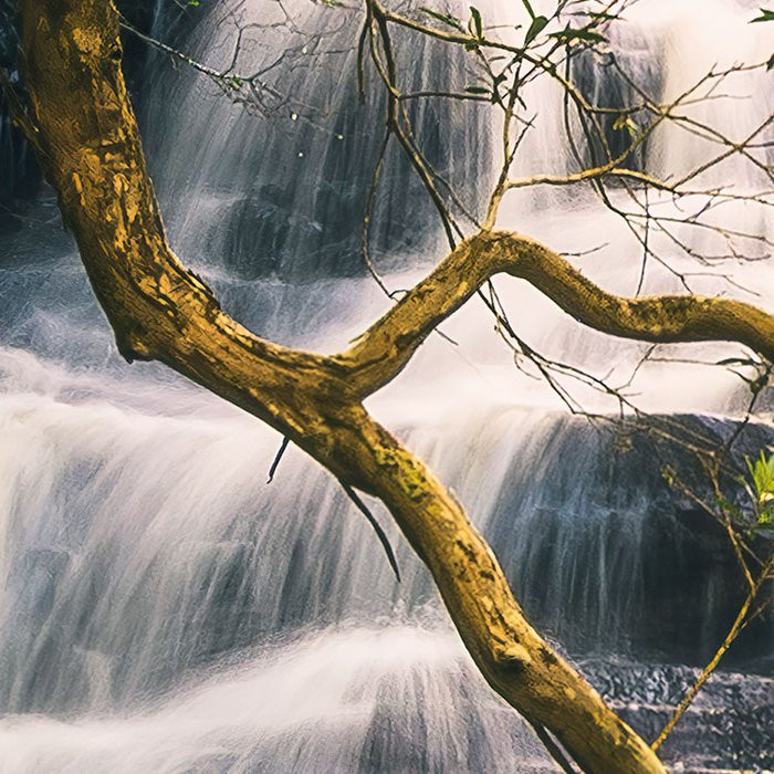 Golden Falls