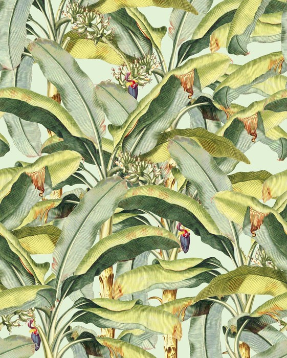 Banana Grove