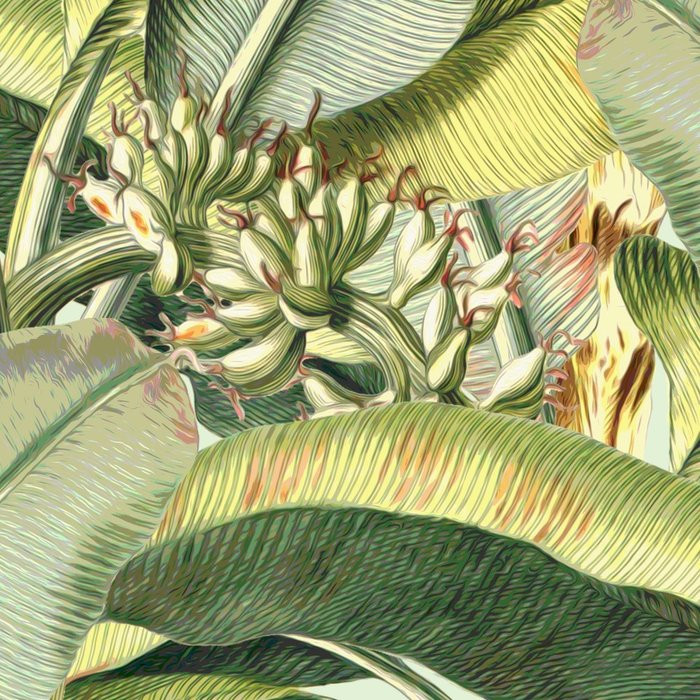 Banana Grove