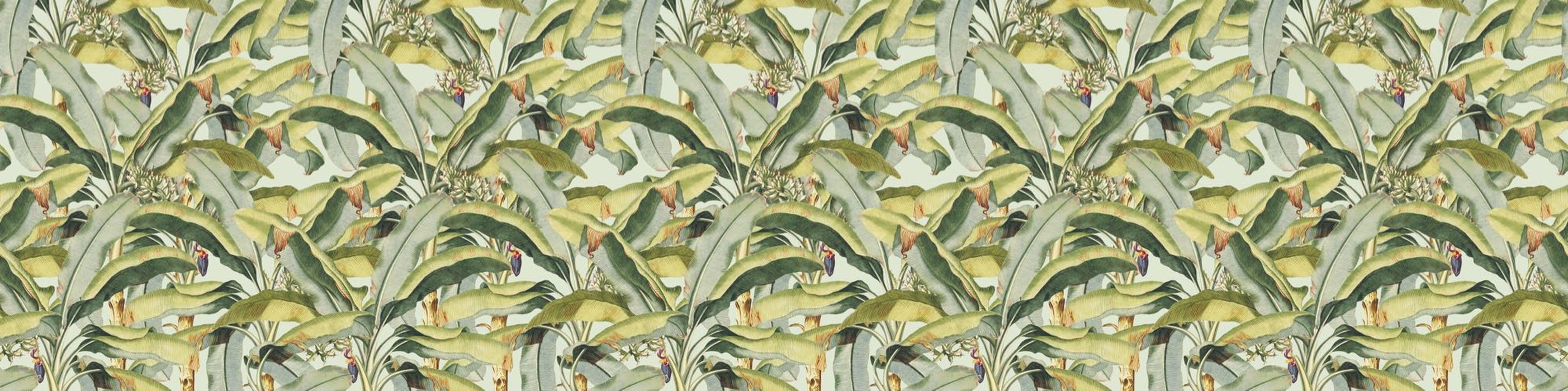 Banana Grove