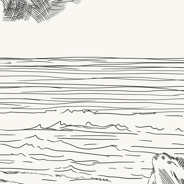 Shoreline