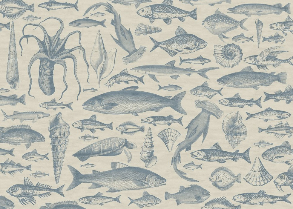 Sea Study