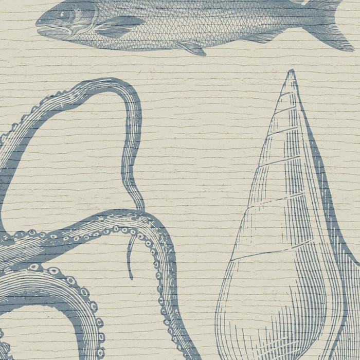 Sea Study