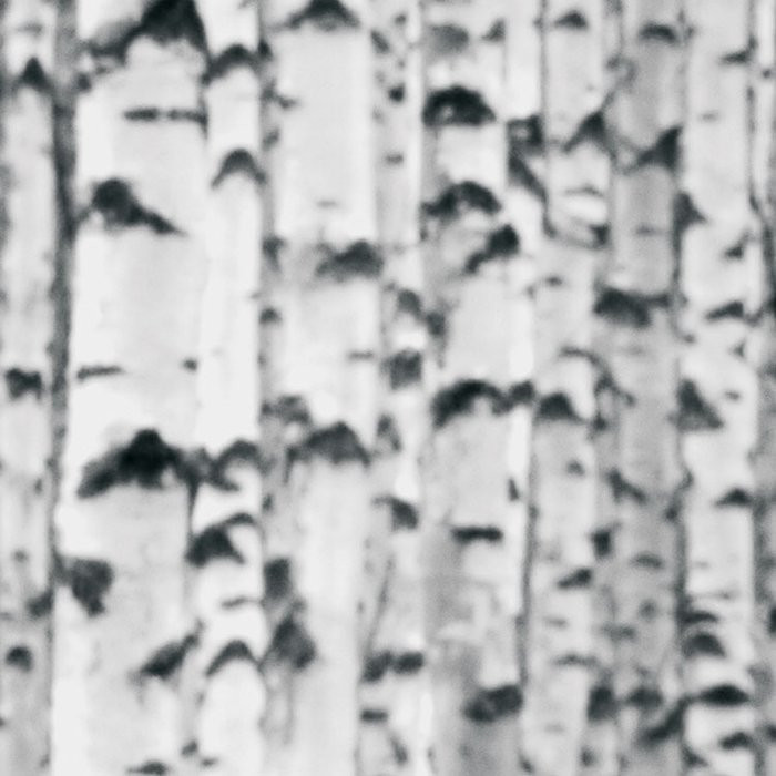 Woods