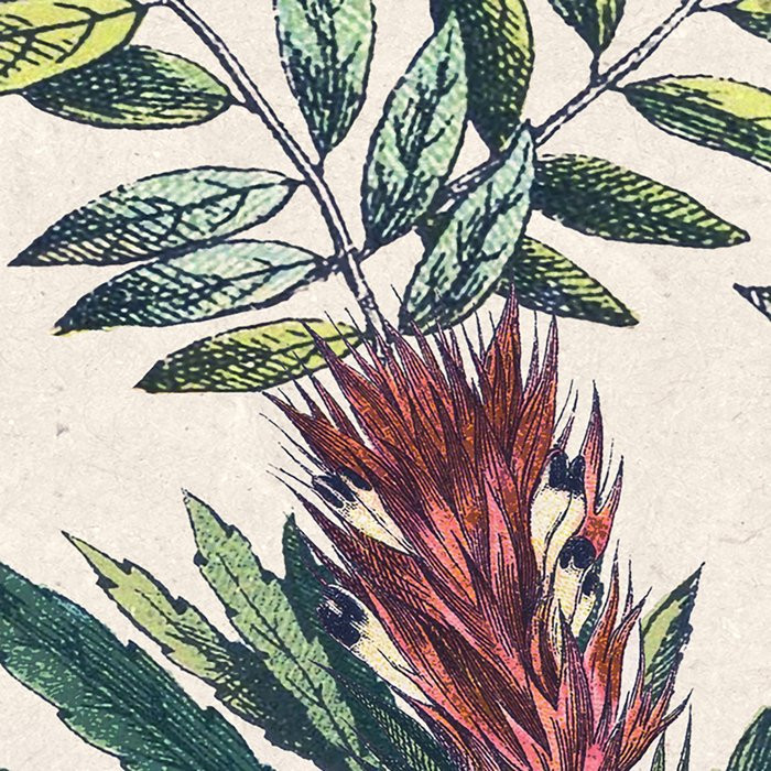 Flowering Herbs