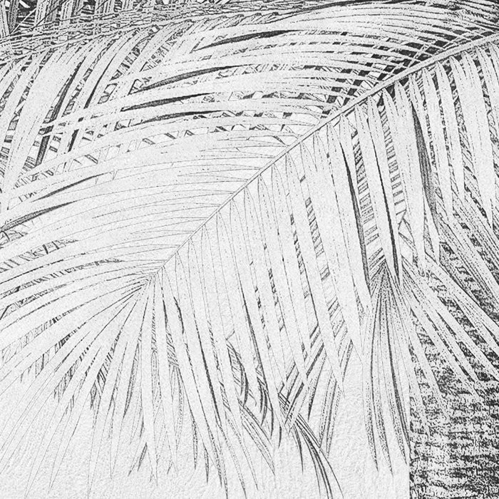 Cocco
