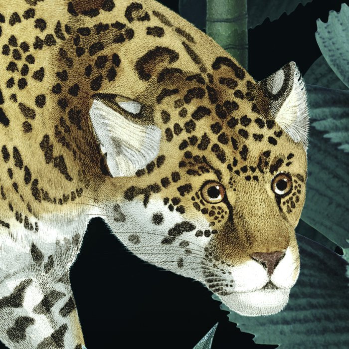 Jungle Night
