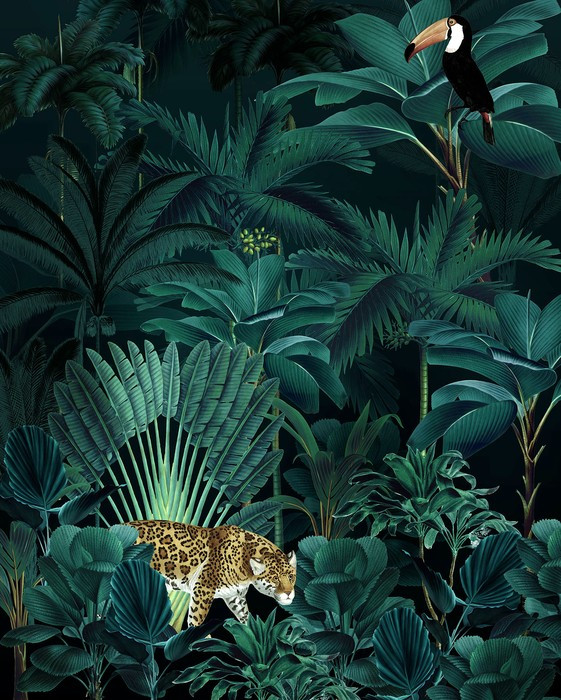 Jungle Night