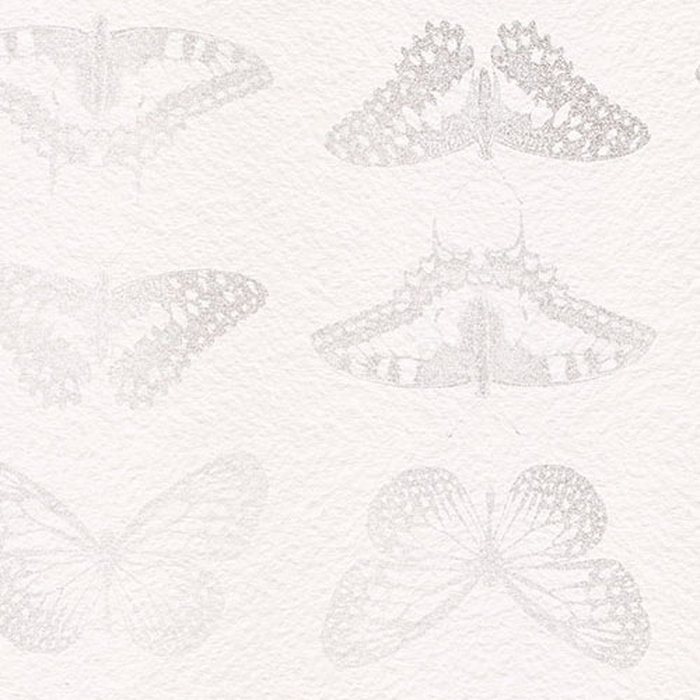 Mur de Papillons
