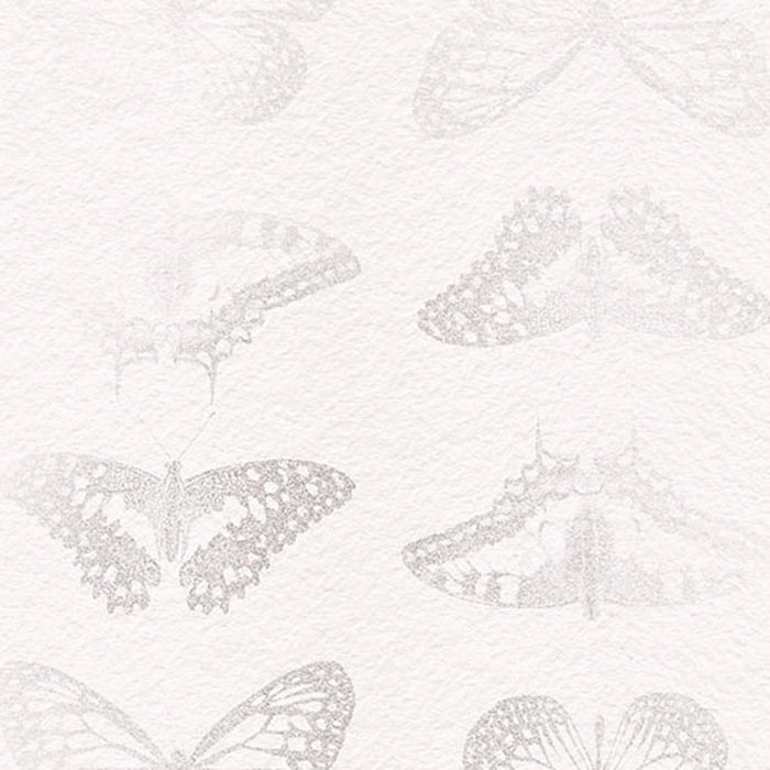 Mur de Papillons