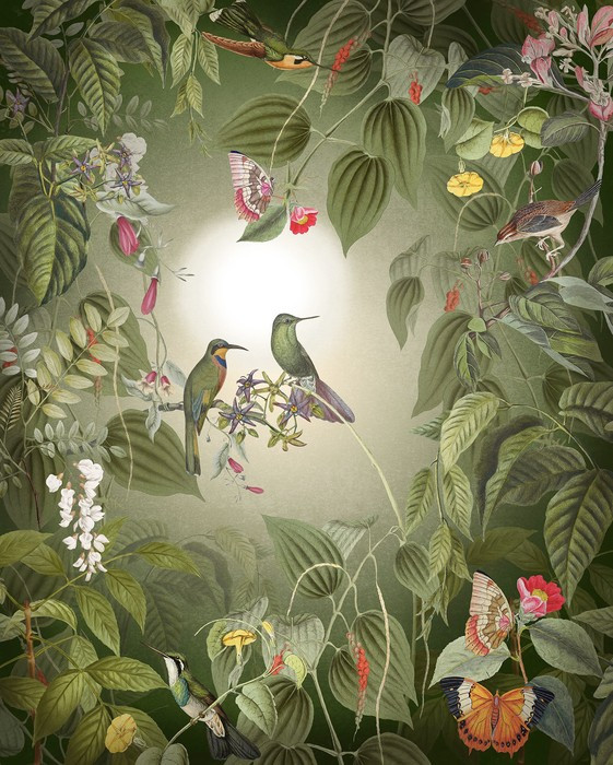 Wildlife Birds