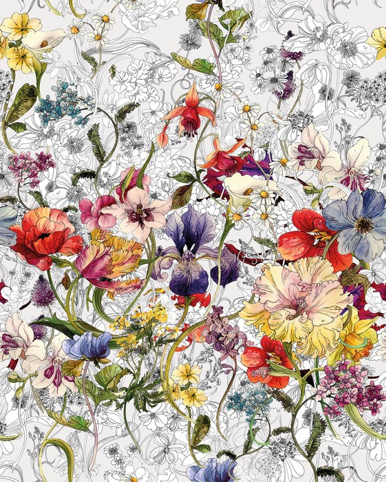 Flora