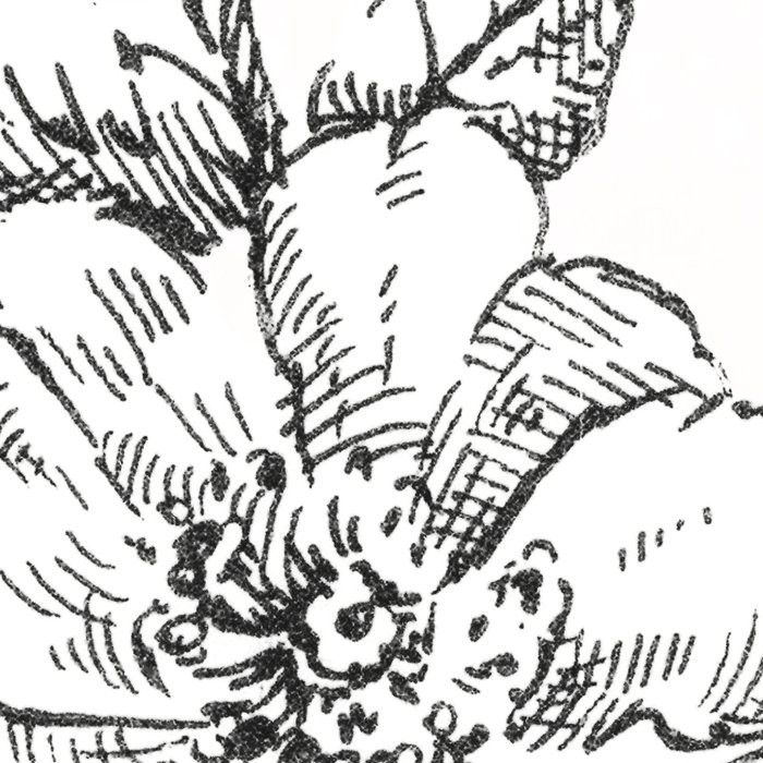 Flowerbed