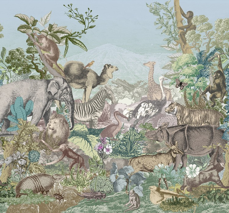 Creative Zoo