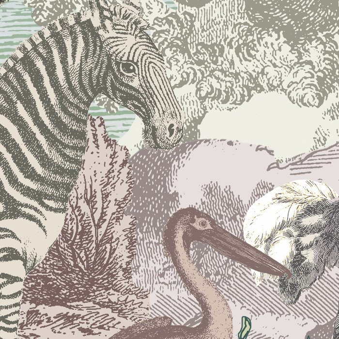 Creative Zoo