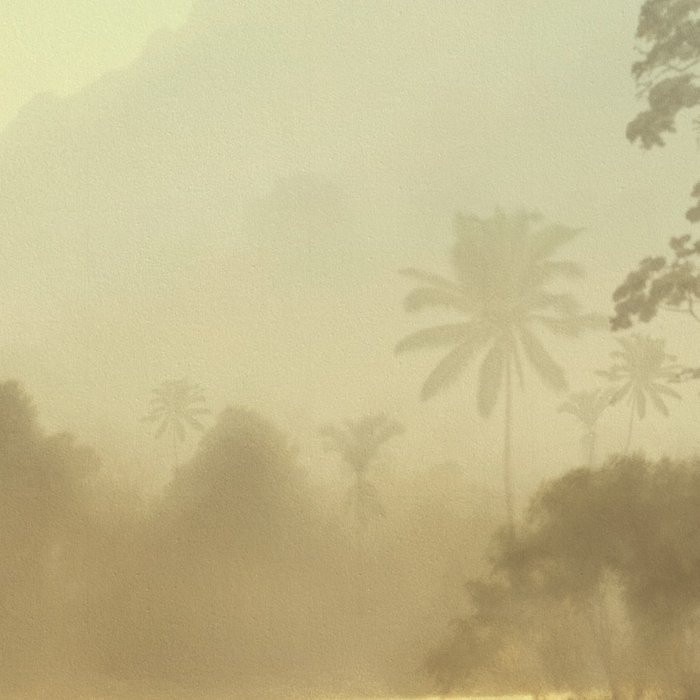 Lac Tropical