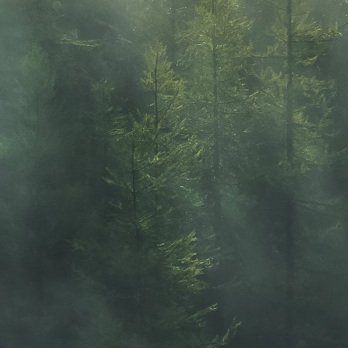 Misty Crowns